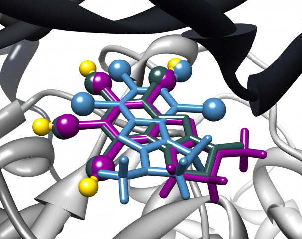 Structure-based Drug Design - HITS GGmbH